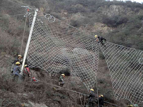 邊坡綠化勾花網圖片4